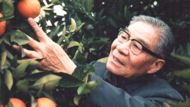 党史故事我来说，来听华中农业大学带我们一起了解中国柑橘学科奠基人之一，“橘翁”章文才教授