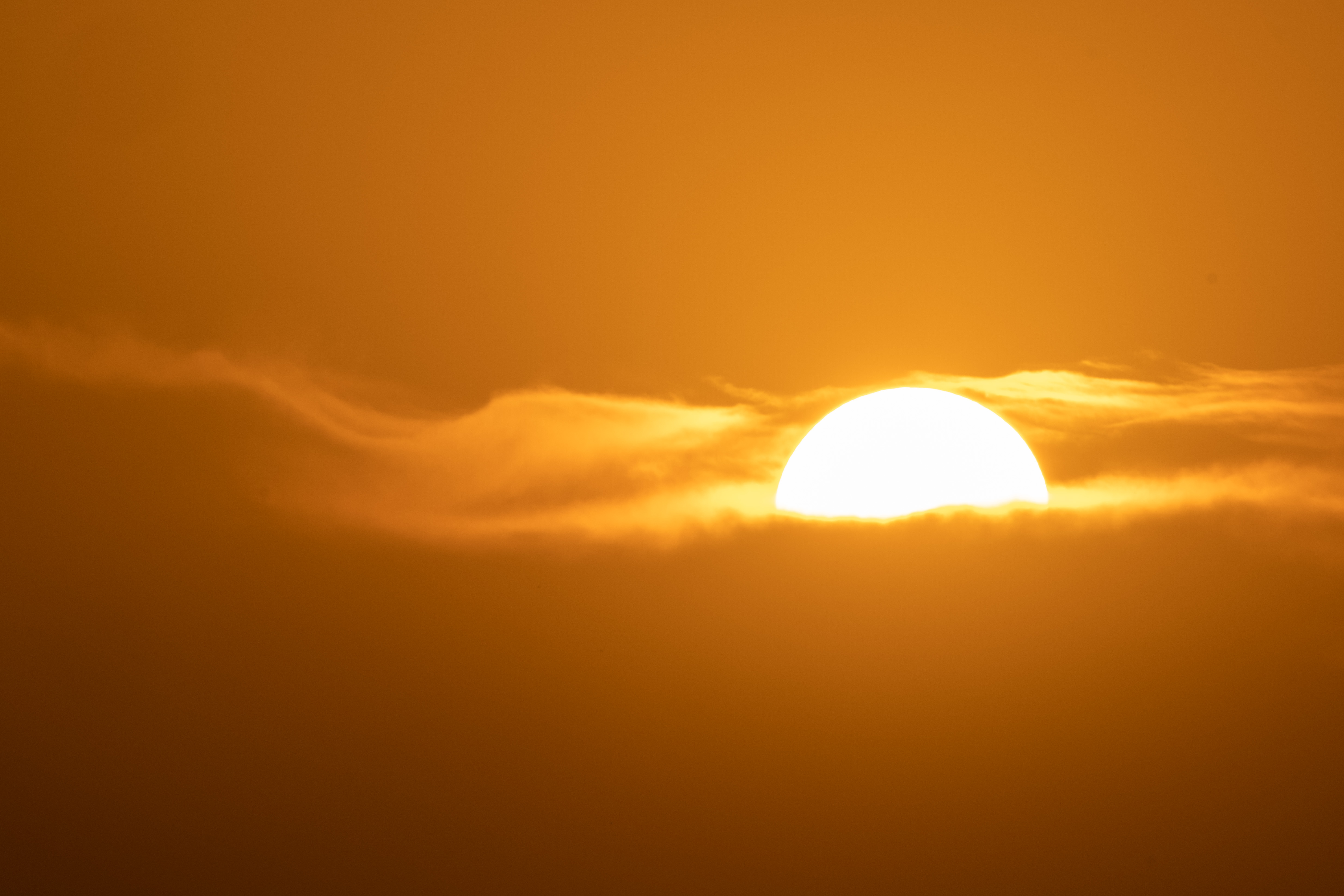 DSCF5100.jpg