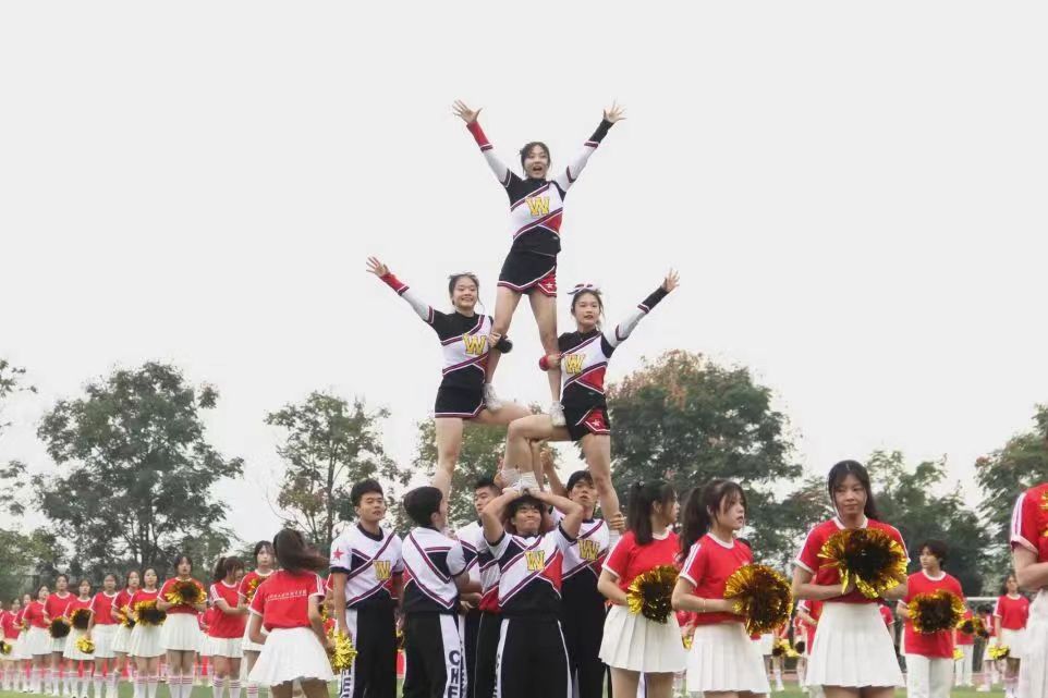 微信图片_20231117111648.jpg