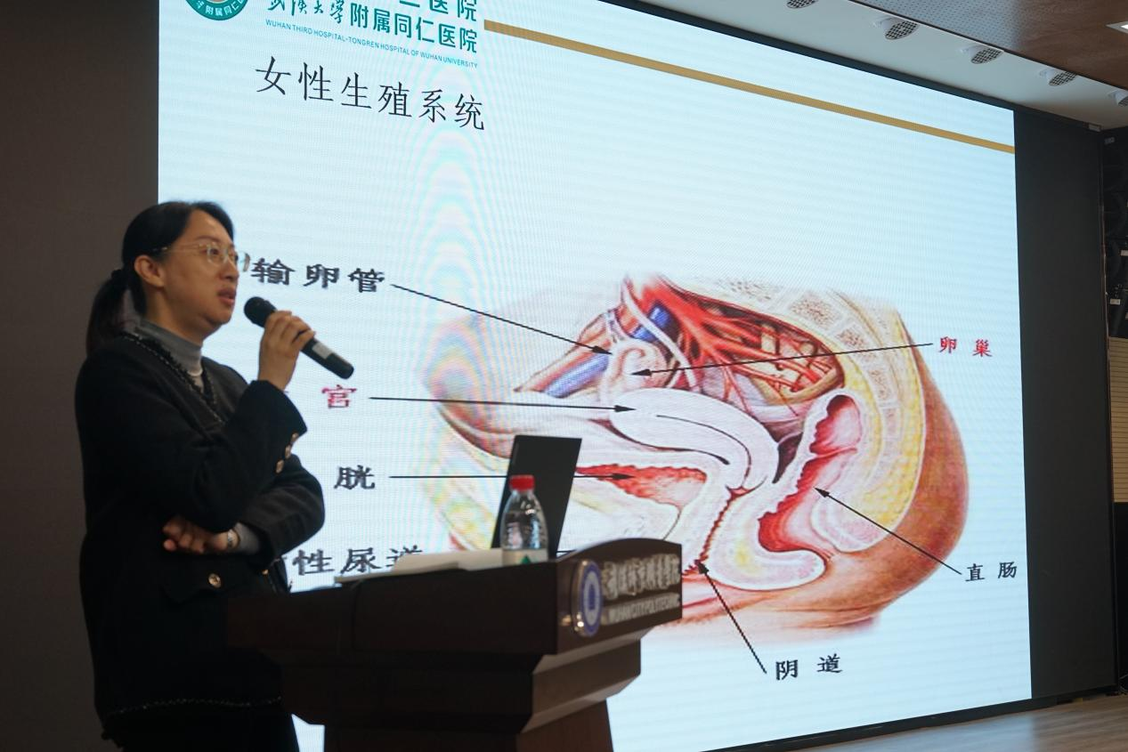 图片6.png 图片6.png