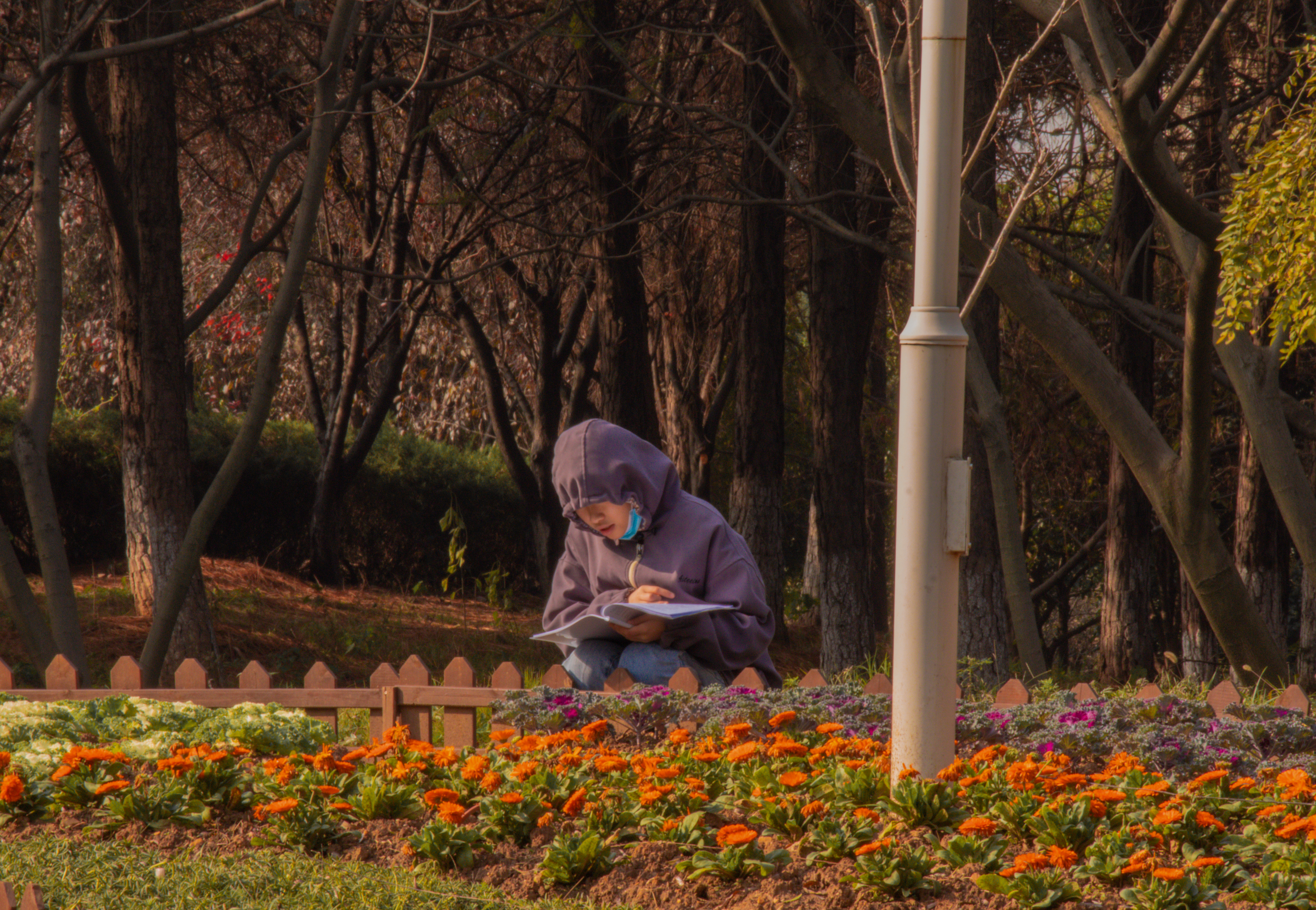 勤学之人 (1).jpg 勤学之人 (1).jpg