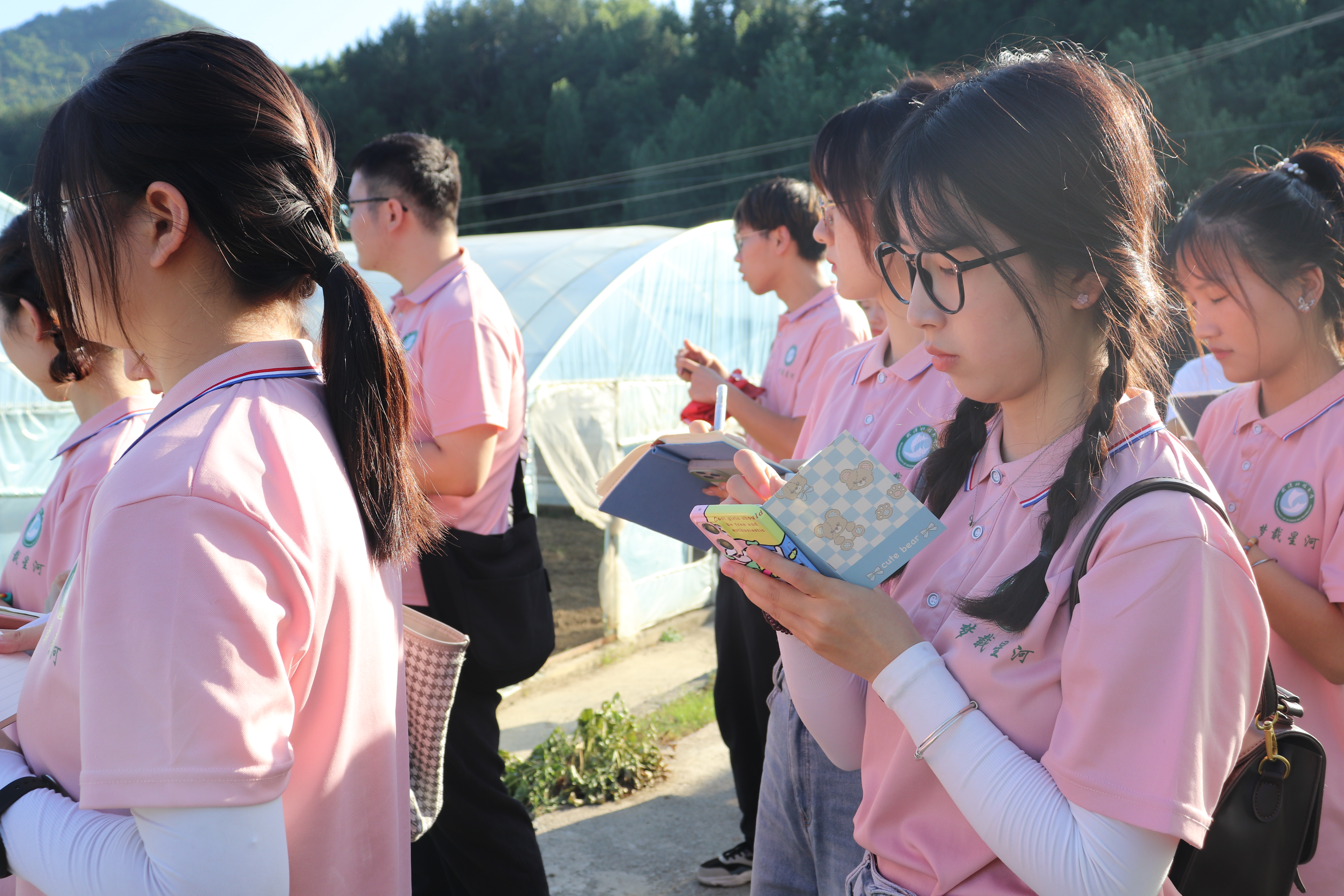 作品二《田间寻纪》.JPG 作品二《田间寻纪》.JPG