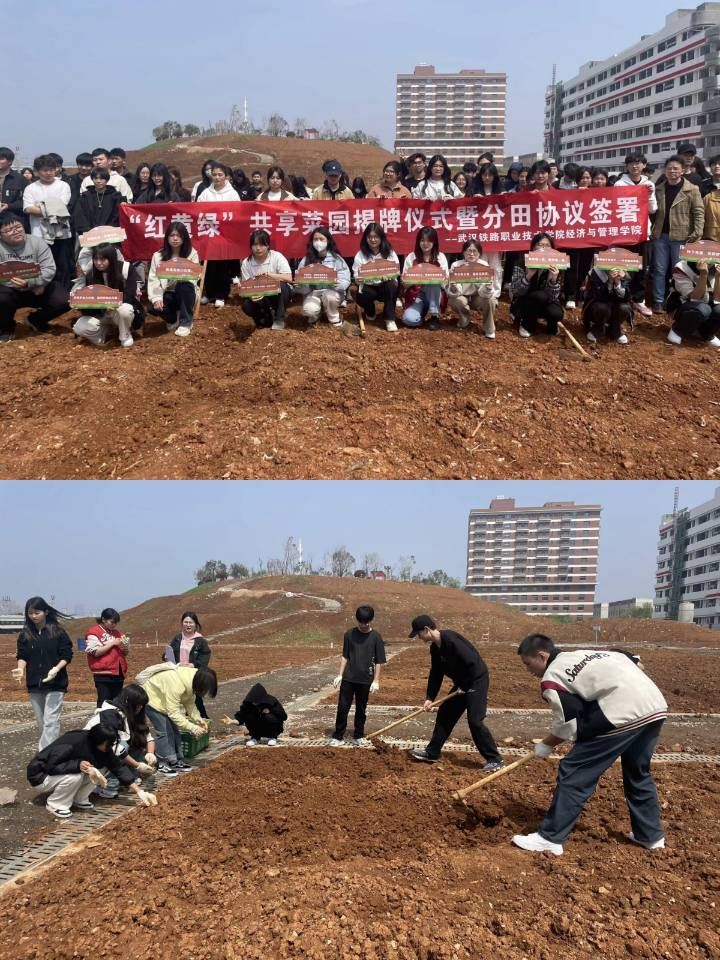 图片11.png 图片11.png