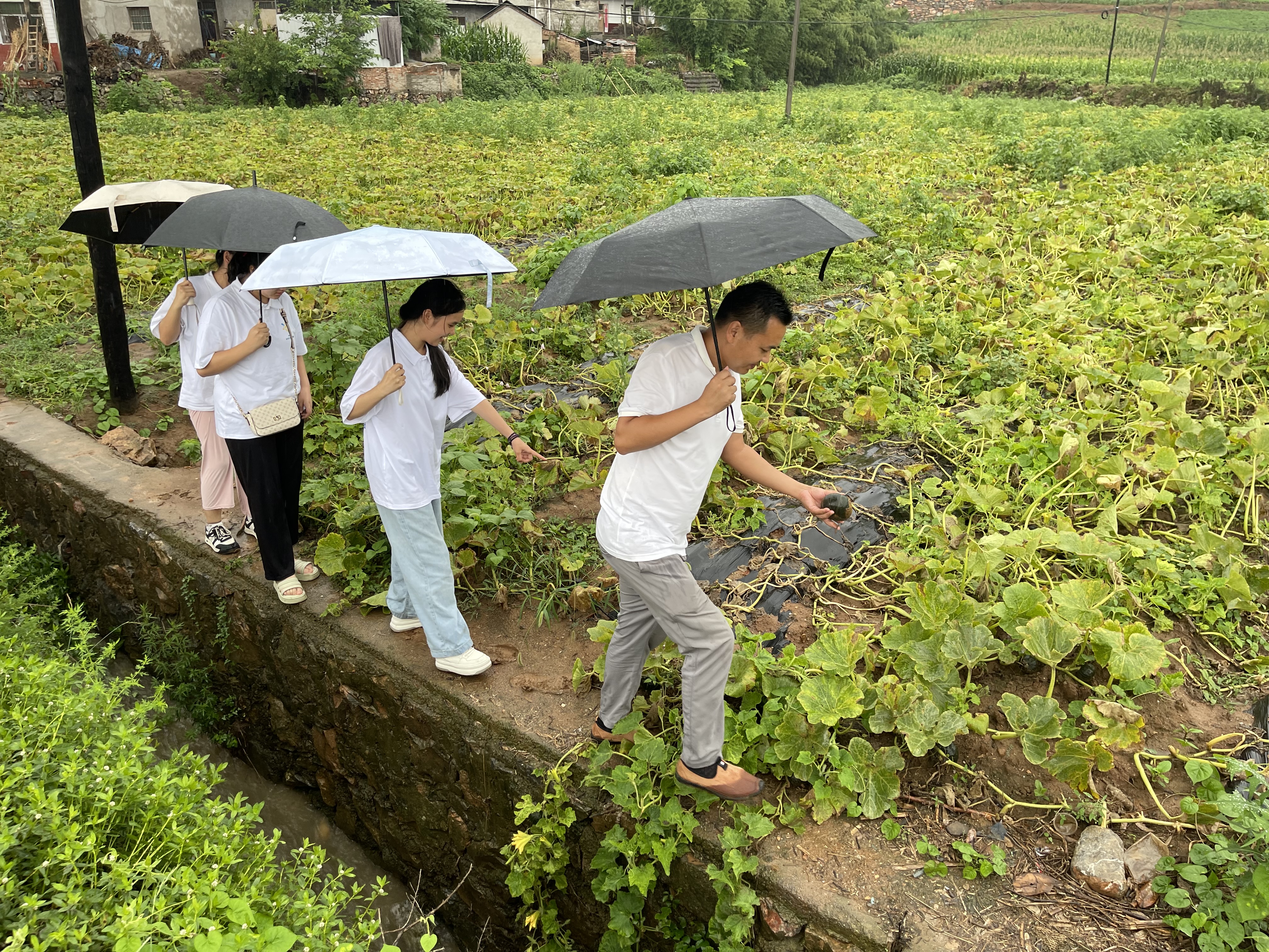 081A0EA641CCBD7AAD4DC64A013C0155.png 081A0EA641CCBD7AAD4DC64A013C0155.png