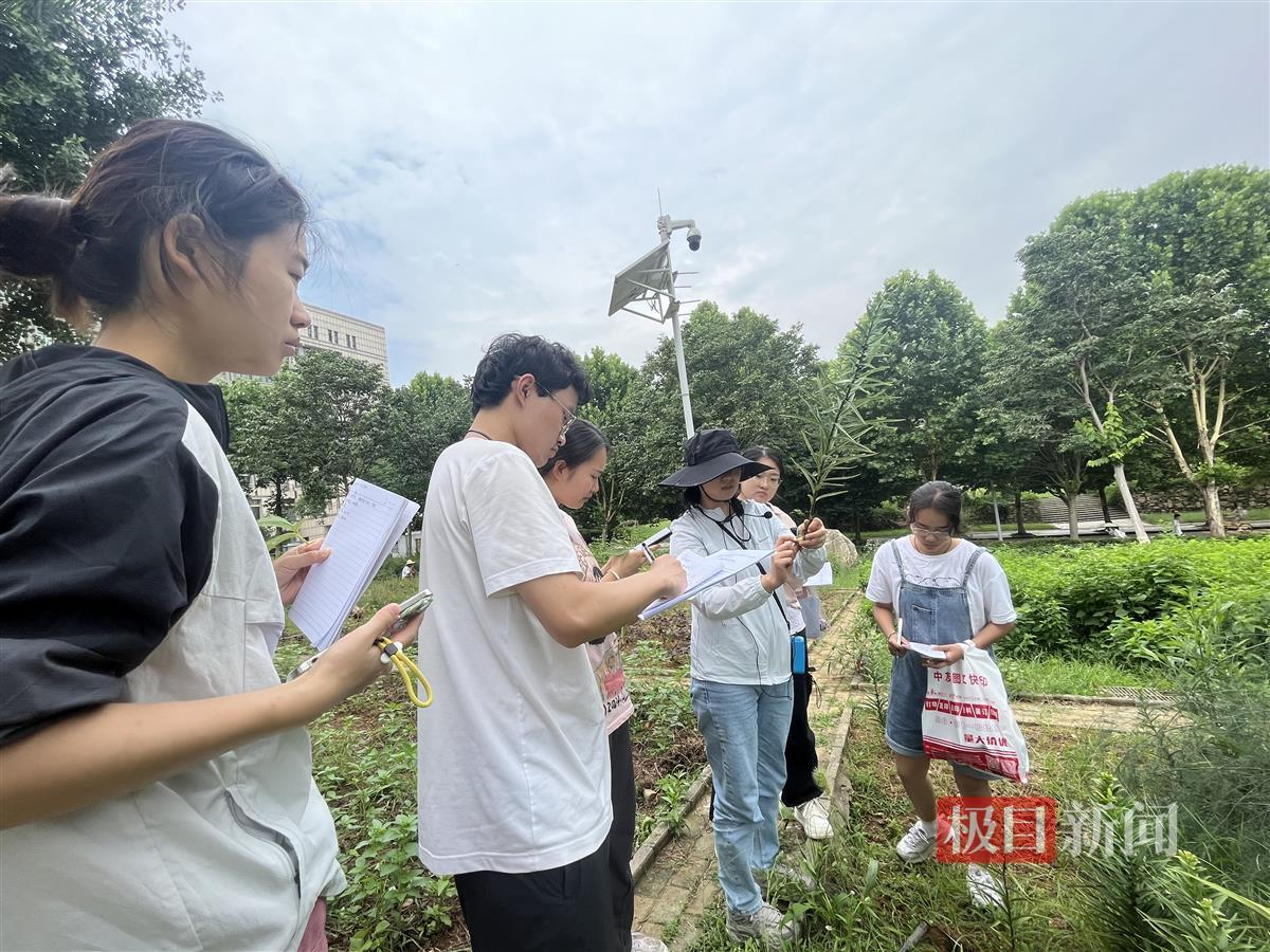 图片7.png 图片7.png