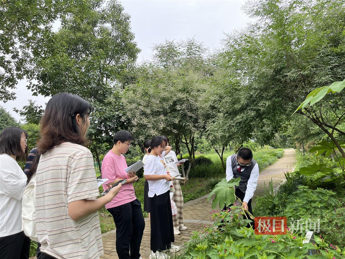 图片5.png 图片5.png