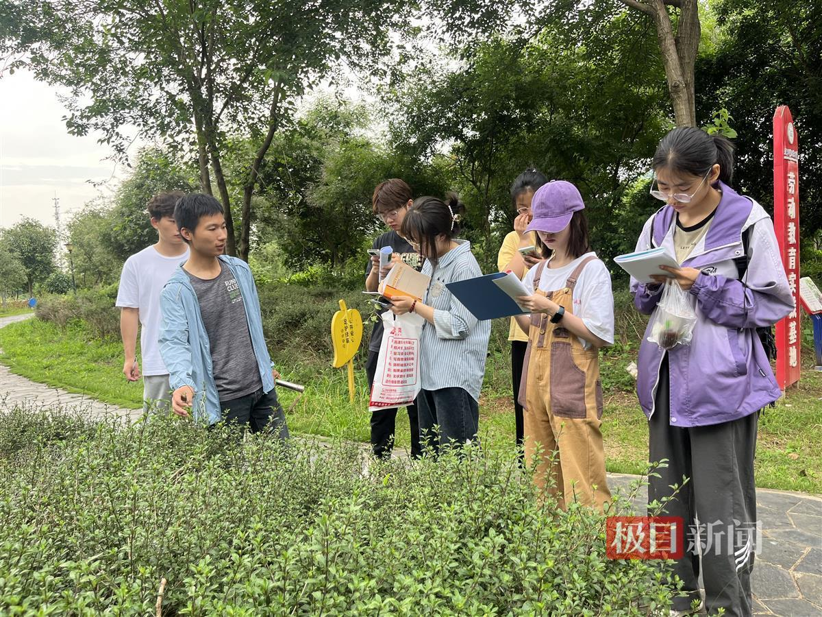 图片8.png 图片8.png