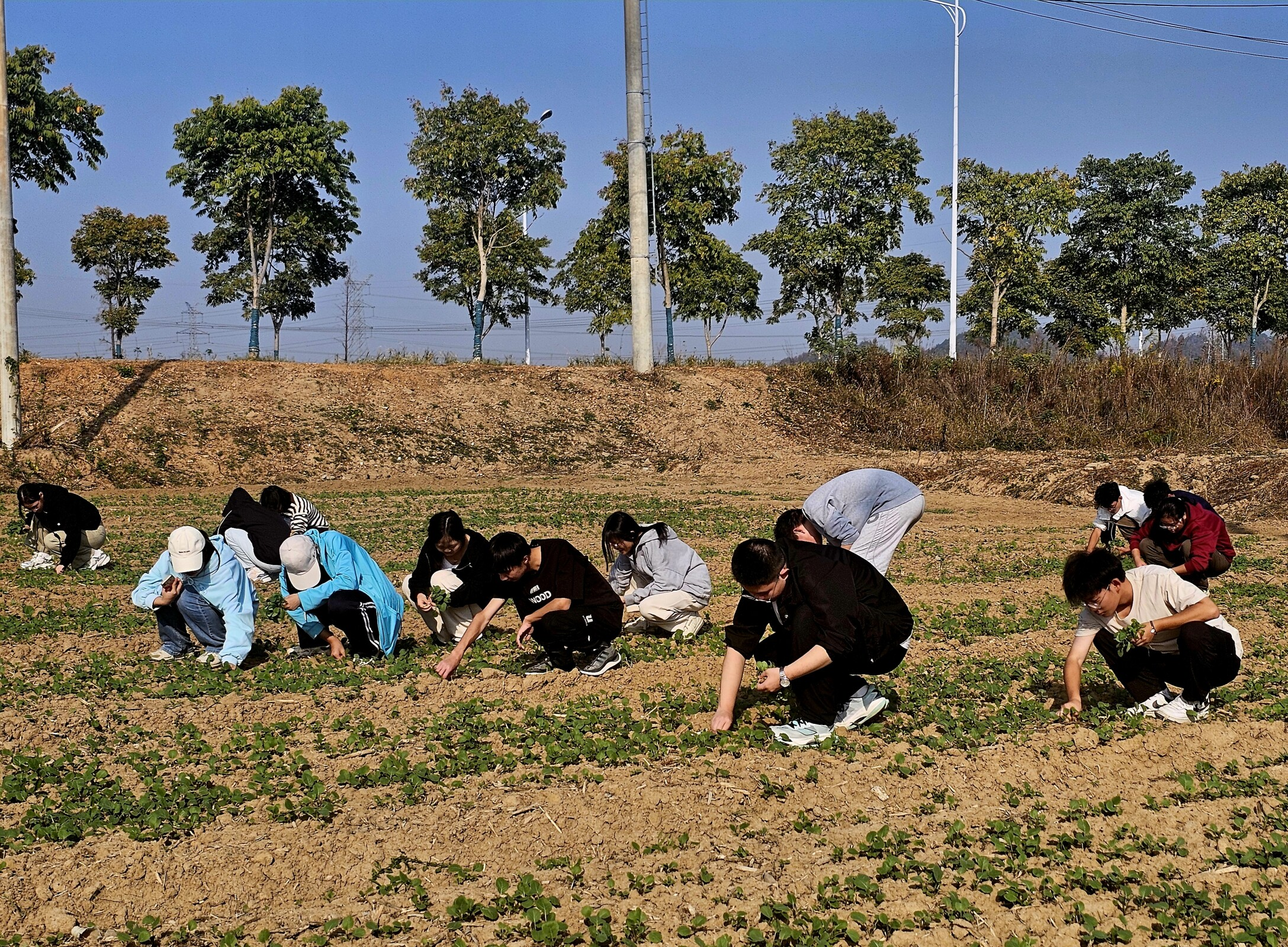 图片4.png 图片4.png