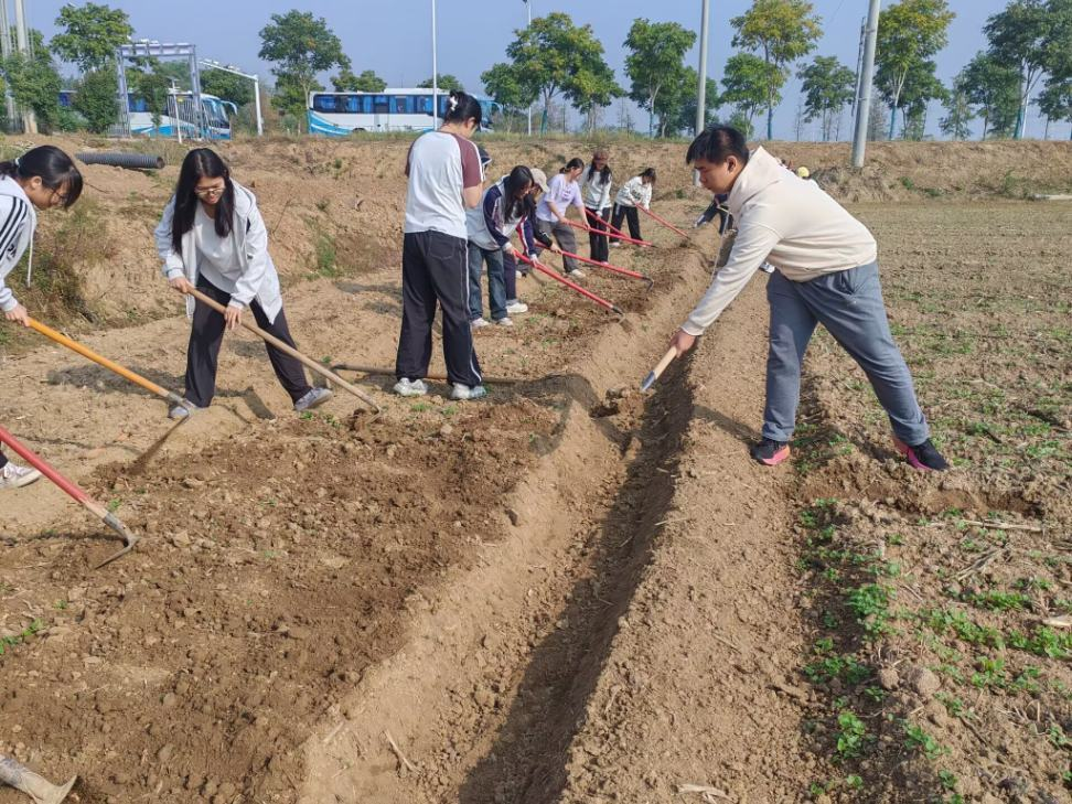 图片 6.png 图片 6.png