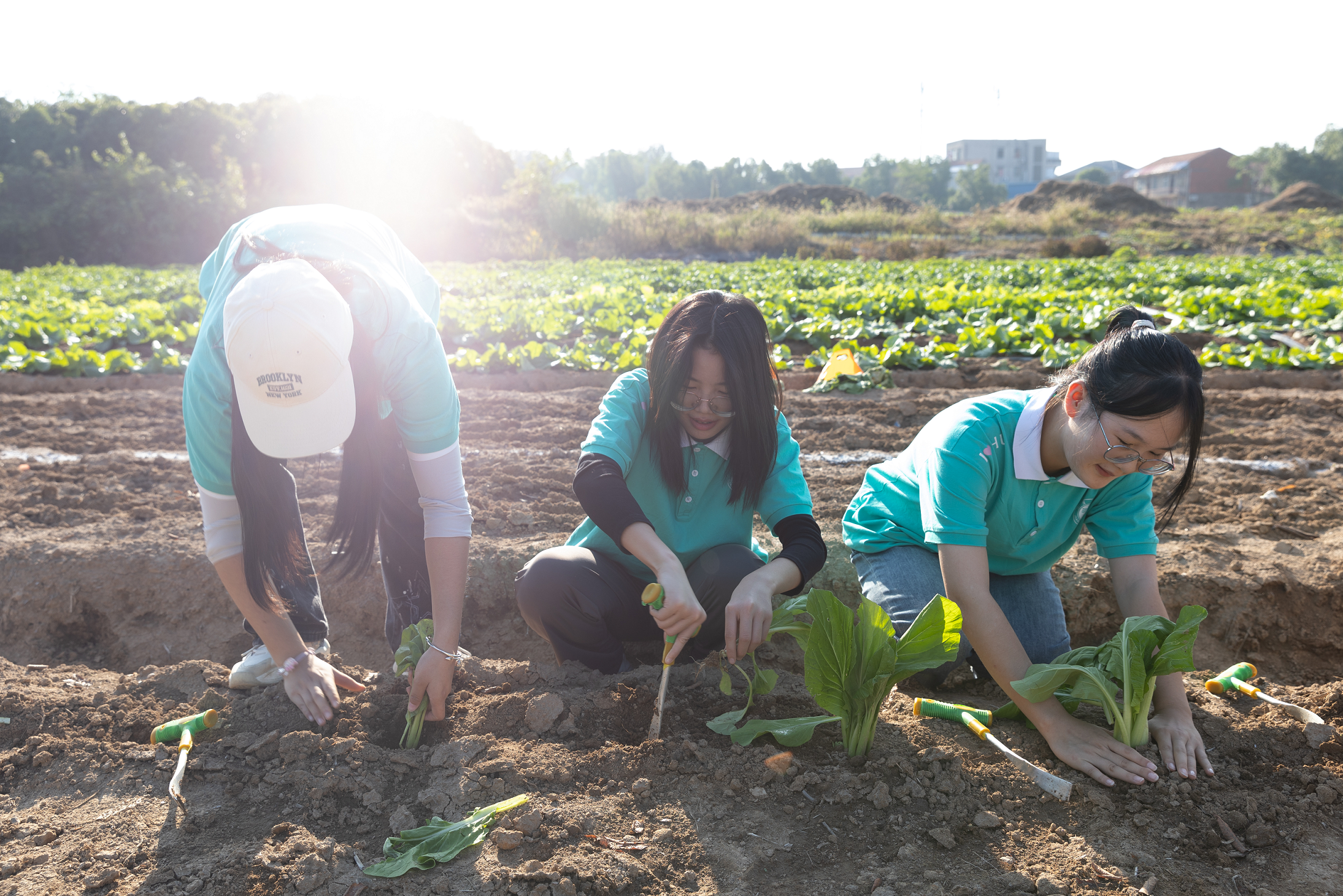 图片 4.png 图片 4.png