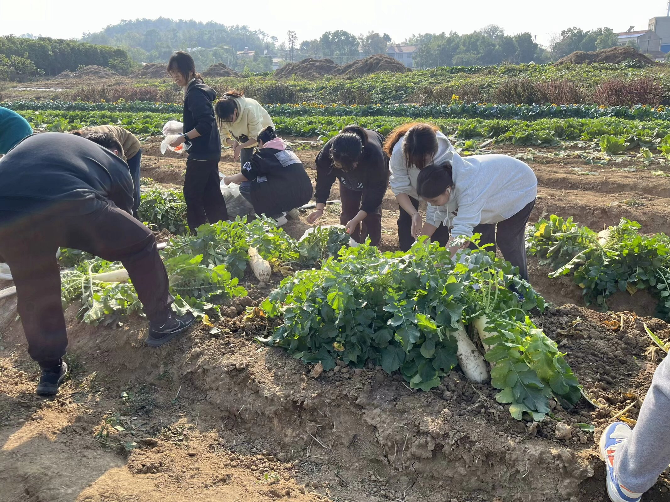 图片 7.png 图片 7.png