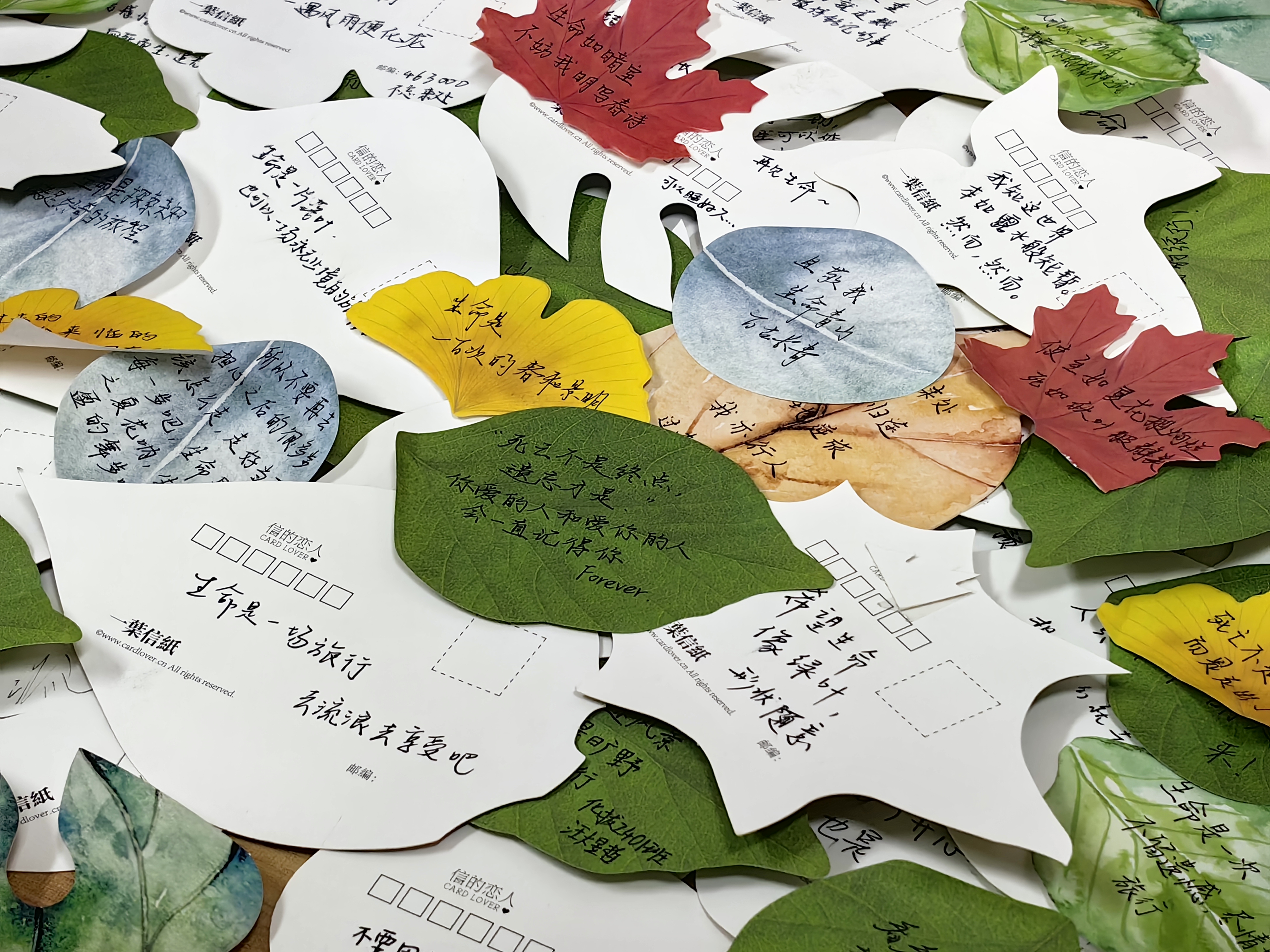 WechatIMG2204.jpg WechatIMG2204.jpg