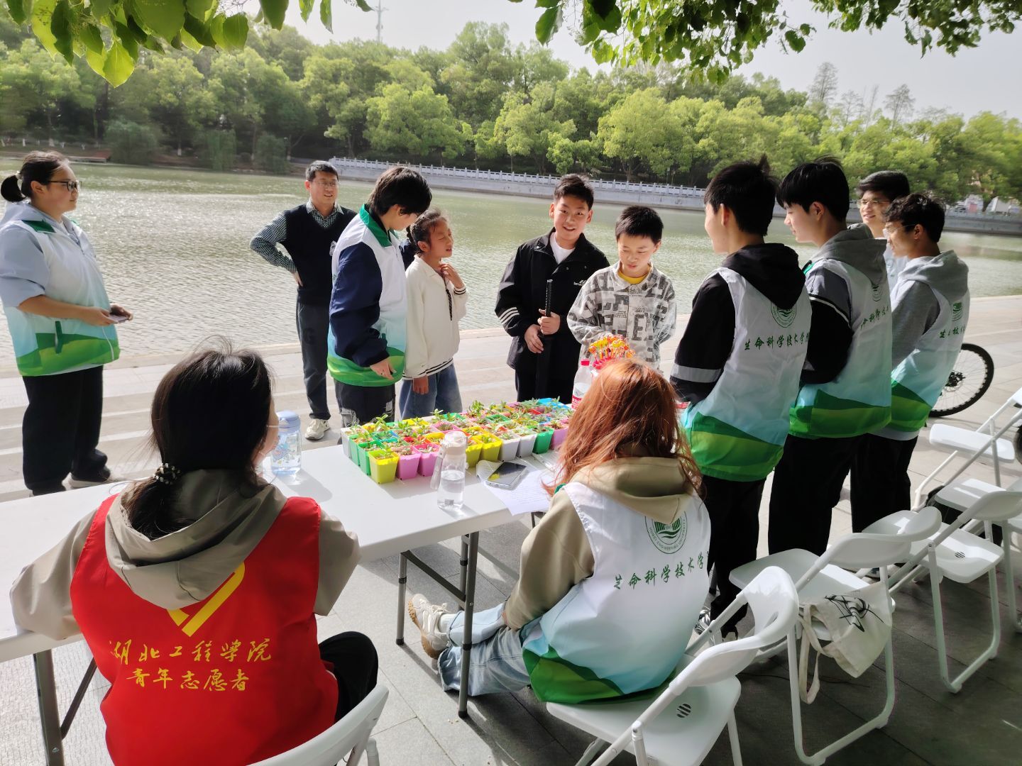 Image_200731842265040.jpg Image_200731842265040.jpg