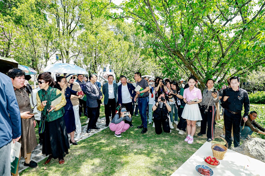 师生观看茶文化表演.jpg