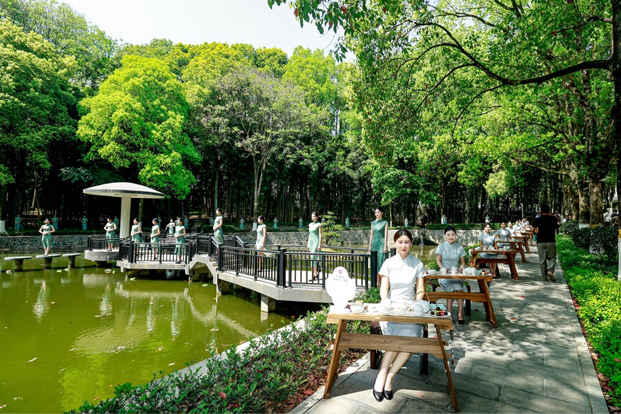 “茶韵涤心·清漪鉴廉——《三味茶席品初心》”体验区.jpg