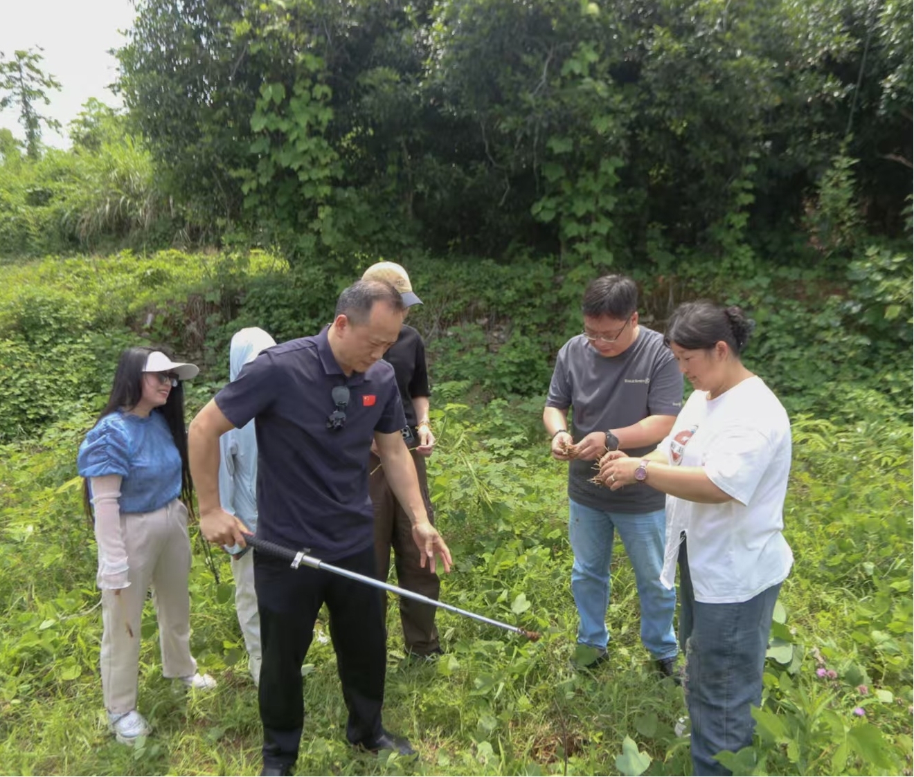 图为学院党员教师和村干部采摘黄精的现场照片.jpg 图为学院党员教师和村干部采摘黄精的现场照片.jpg