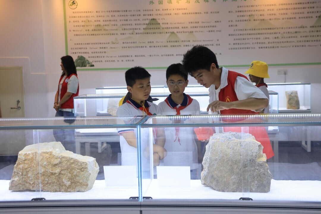 Image_1748397029851.jpg Image_1748397029851.jpg