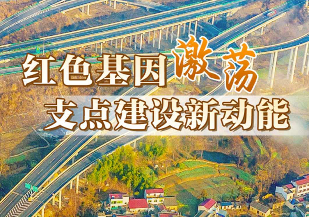 不胜不休“拼”出最高增速