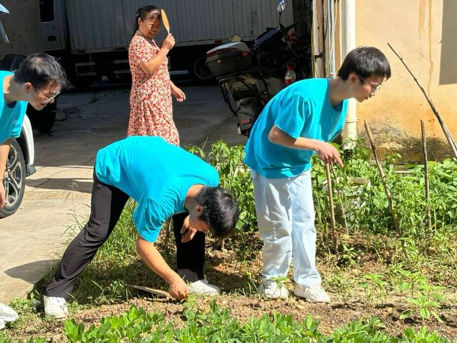 图片7.png 图片7.png