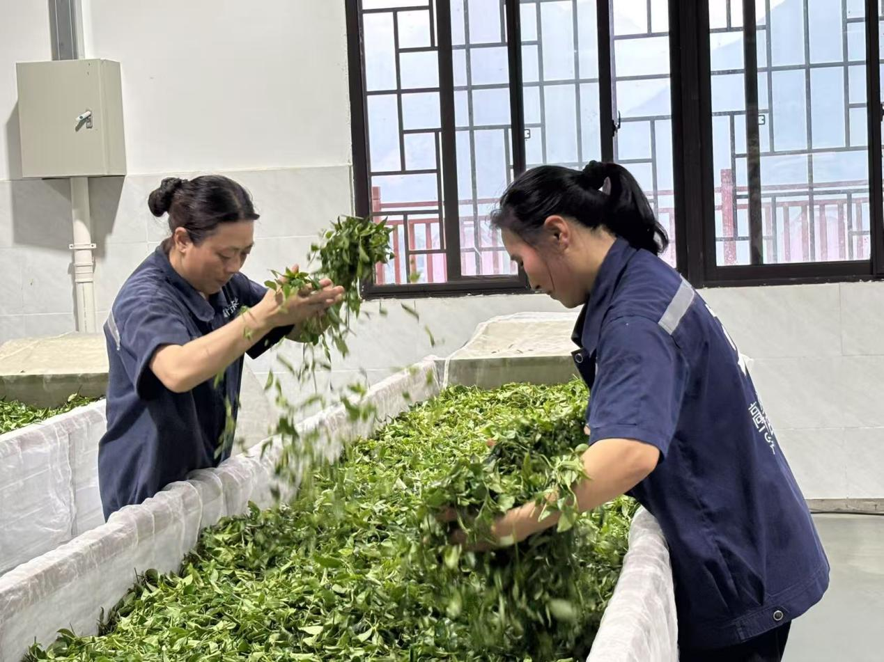 图片4.png 图片4.png