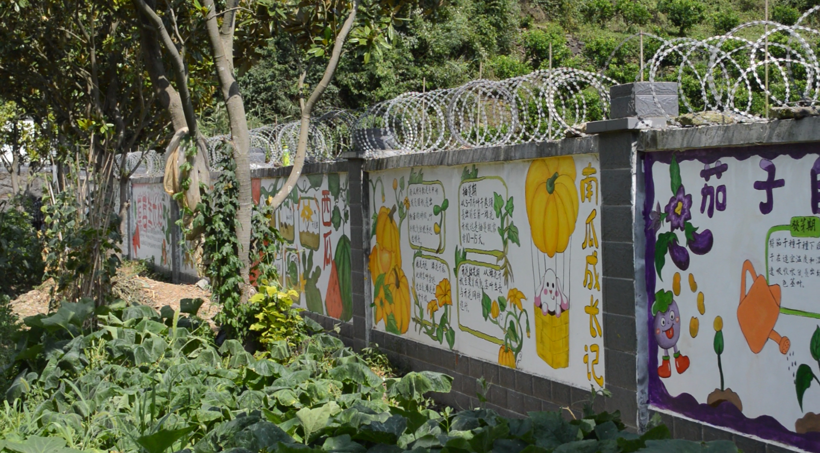 墙绘.jpg 墙绘.jpg