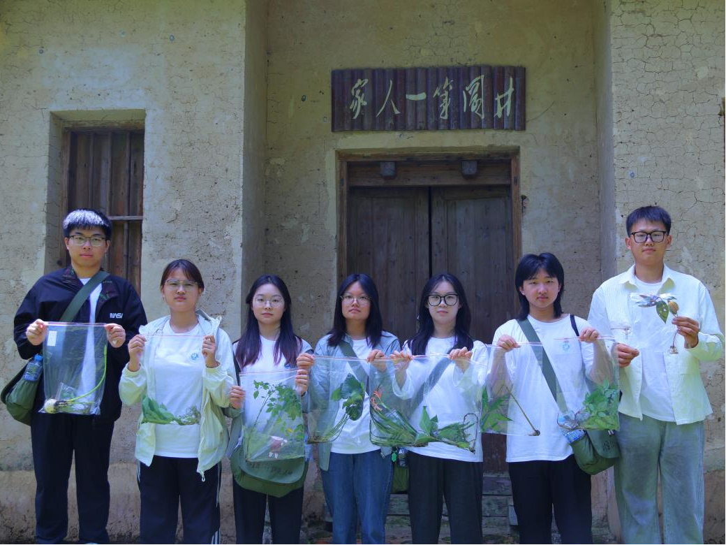 图片7.png 图片7.png