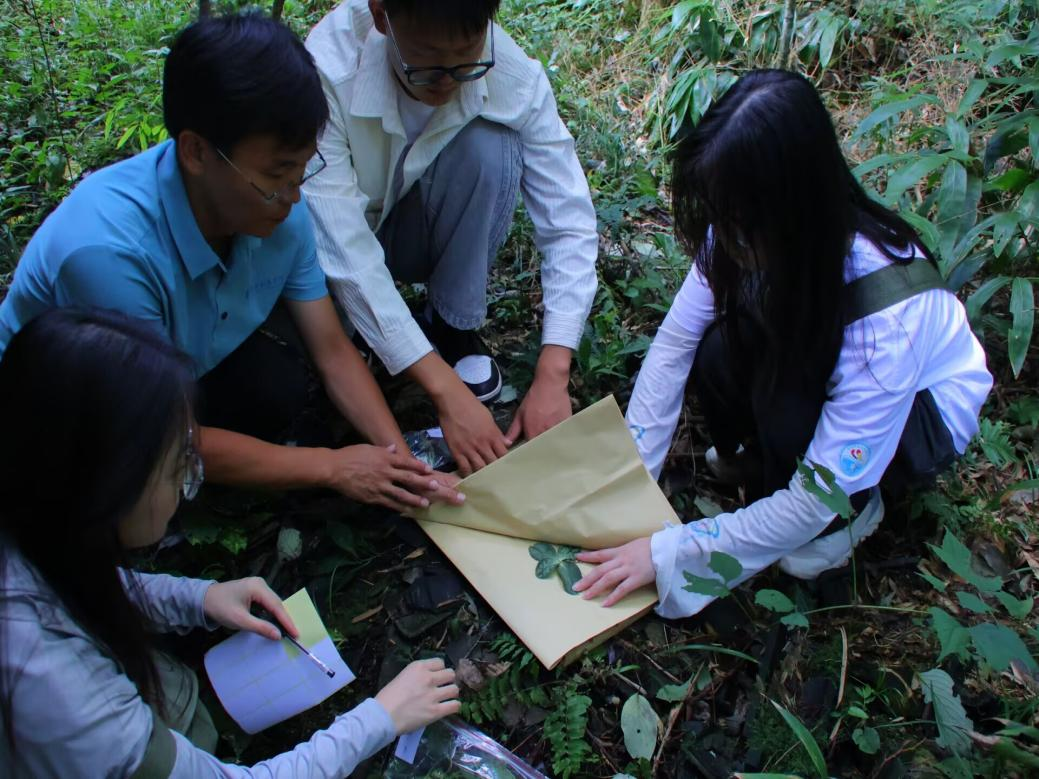 图片6.png 图片6.png