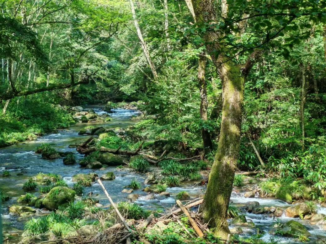 图片5.png 图片5.png