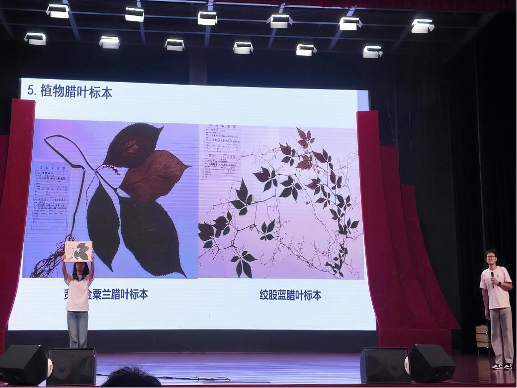 图片11.png 图片11.png