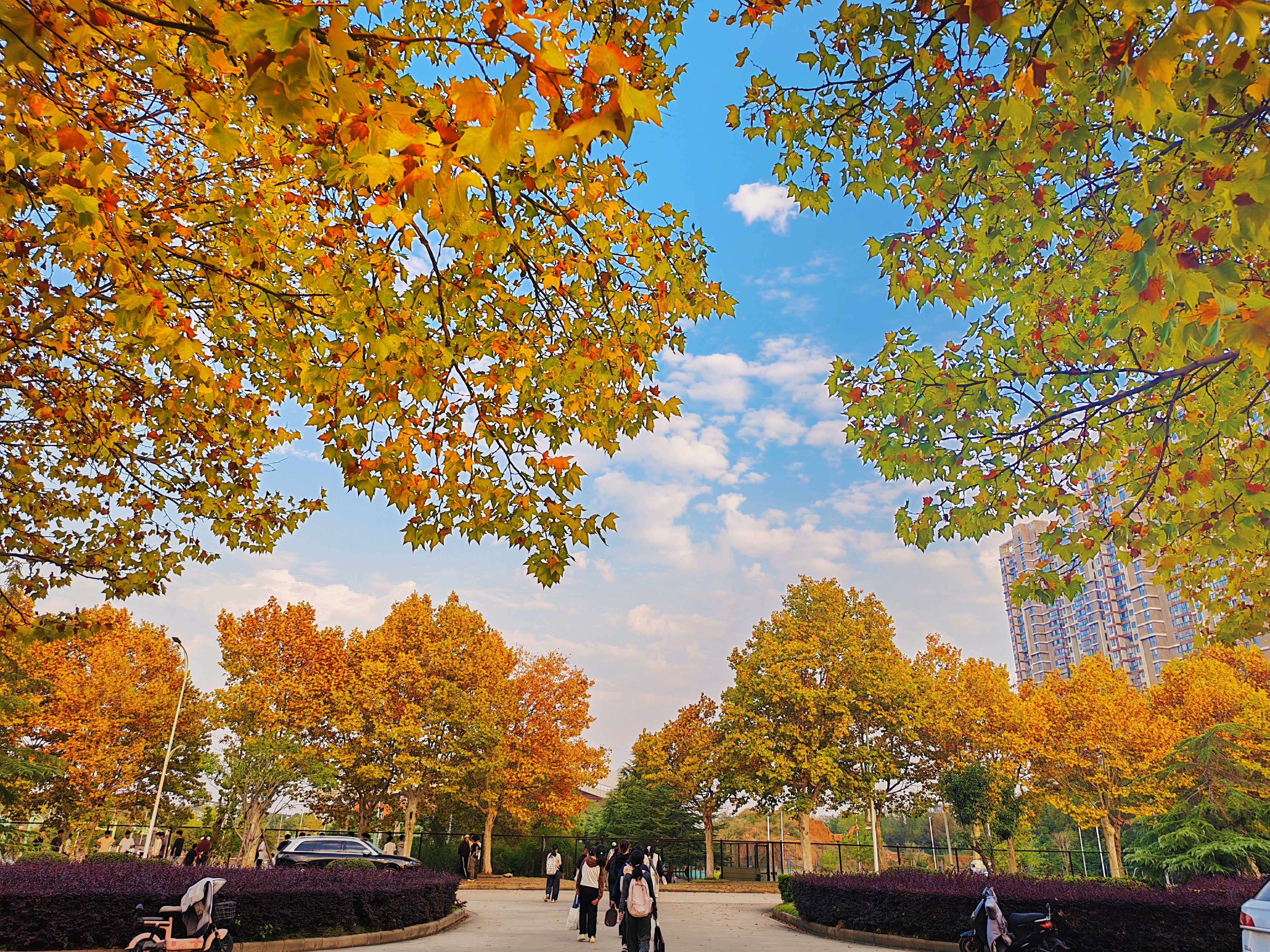 01 聂瑞.jpg 01 聂瑞.jpg