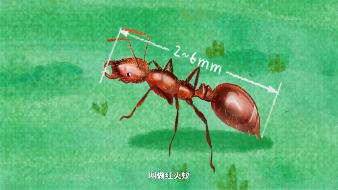 39e4f043-0547-4e27-9c65-ea37bbebe1db.png
